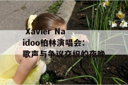  Xavier Naidoo柏林演唱会：歌声与争议交织的夜晚